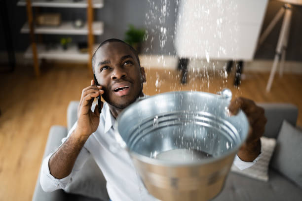 Best Water damage contractors near me  in Ladd, IL