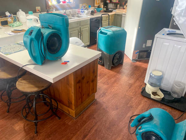 Best Water damage restoration near me  in Ladd, IL
