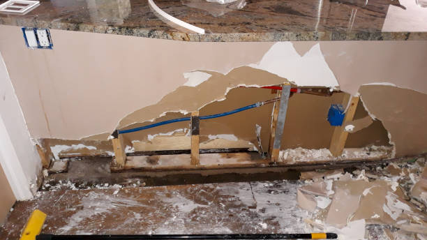 Best Ceiling water damage repair  in Ladd, IL