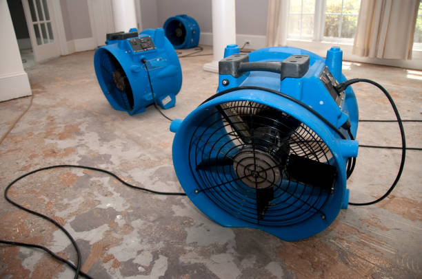 Water damage restoration process in IL