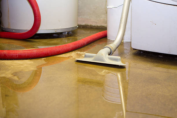 Best Basement water damage restoration  in Ladd, IL