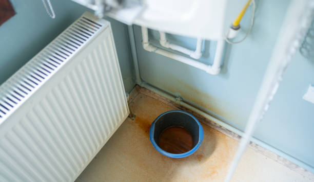  Ladd, IL Water damage restoration Pros
