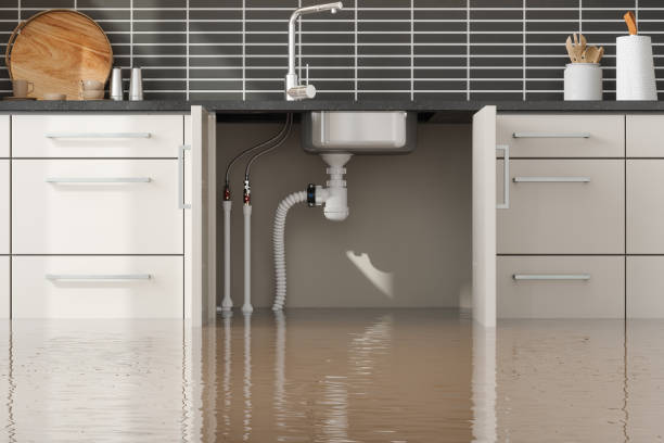 Best Water damage restoration mold remediation  in Ladd, IL